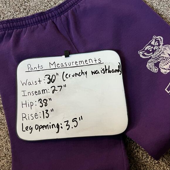 Vintage 80s 90s Men's Santee Sweats Wisconsin Badgers Bucky joggers sweatpants - Picture 5 of 5